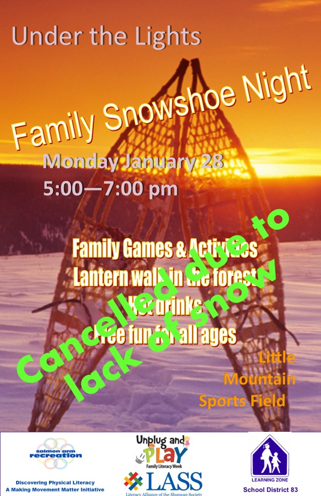 under the lights family snow shoe night